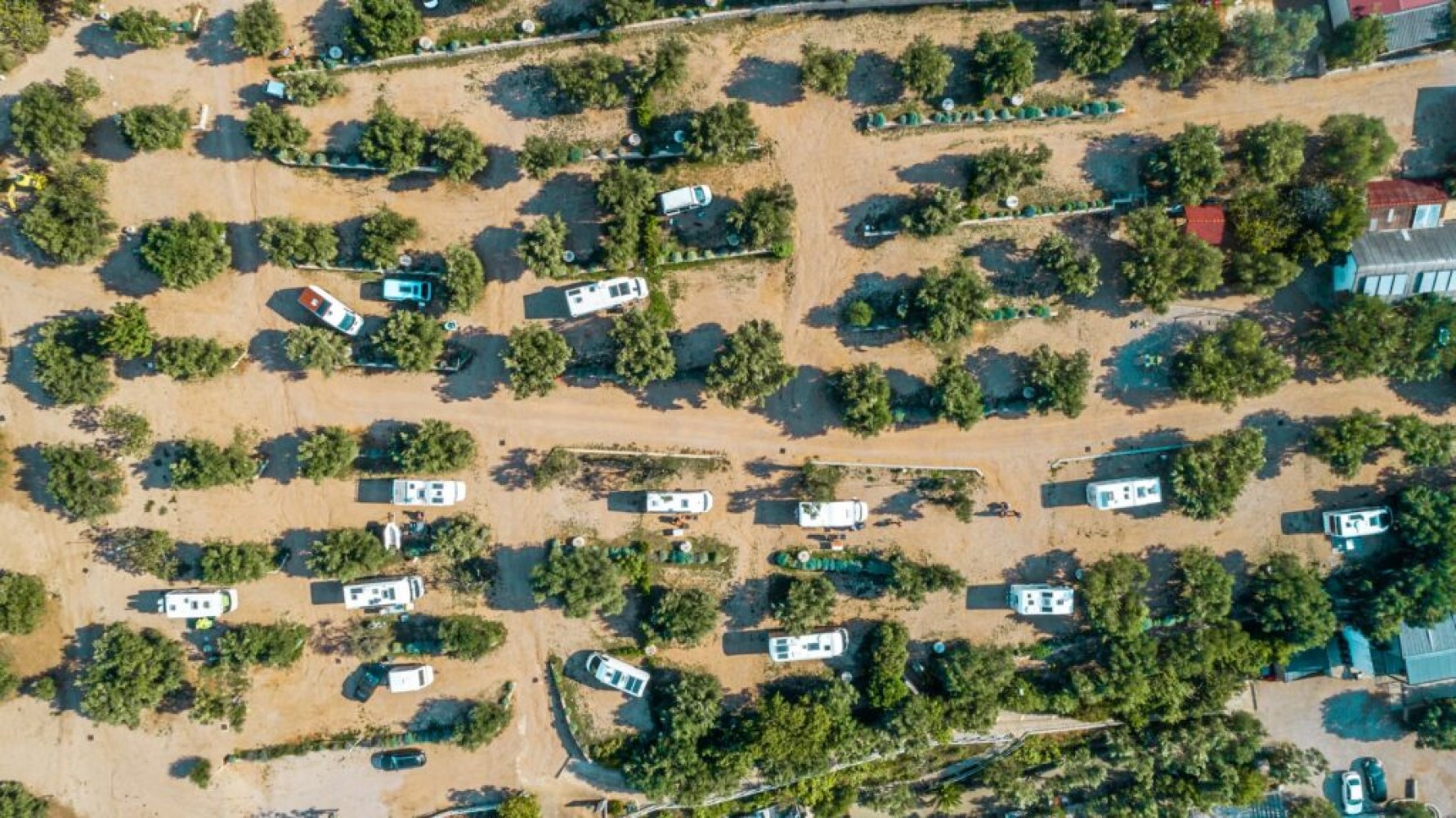 Olivia Green Camping